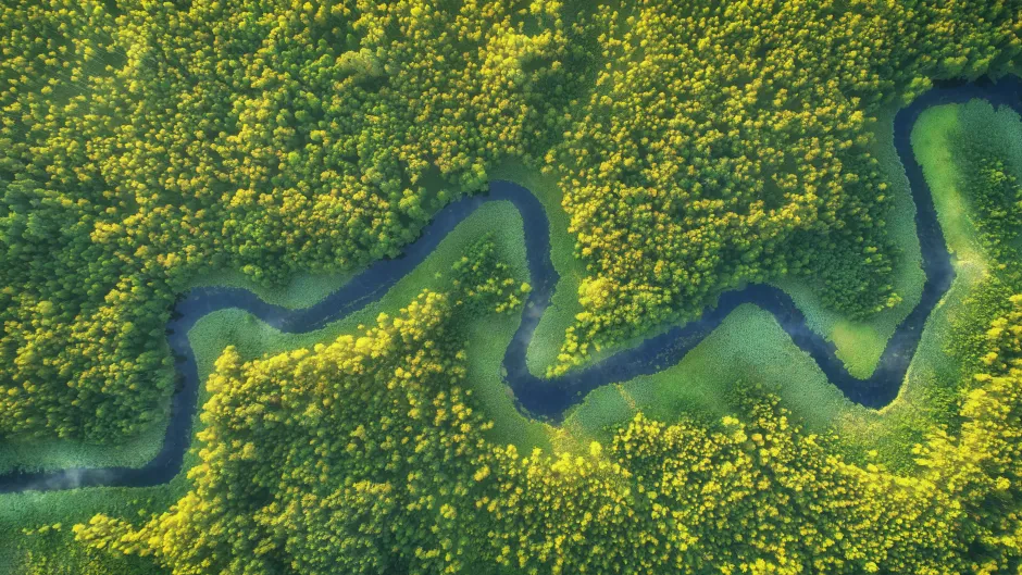 AdobeStock_287477104